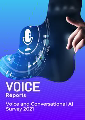 vozy-report