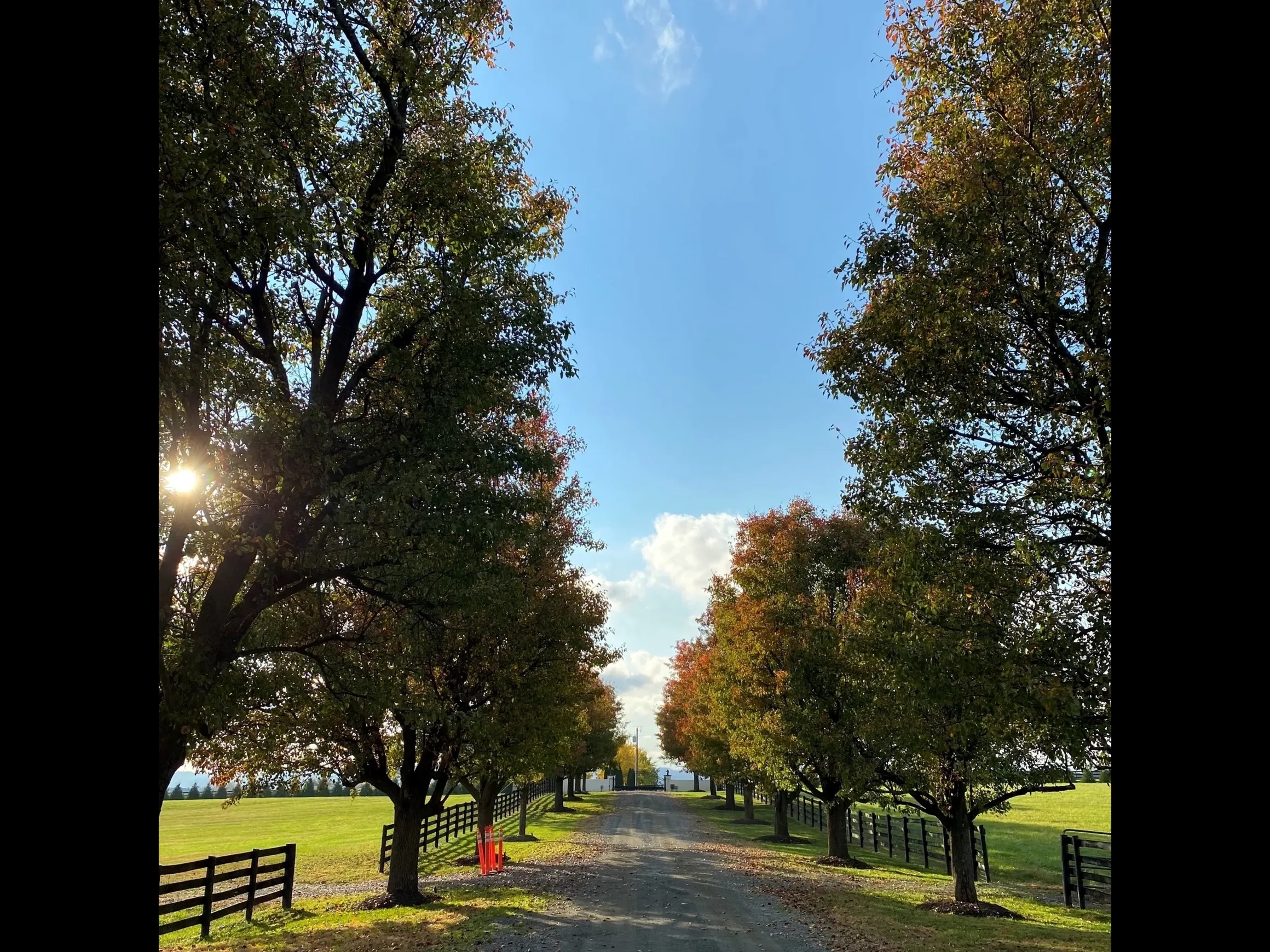 Farm Driveway